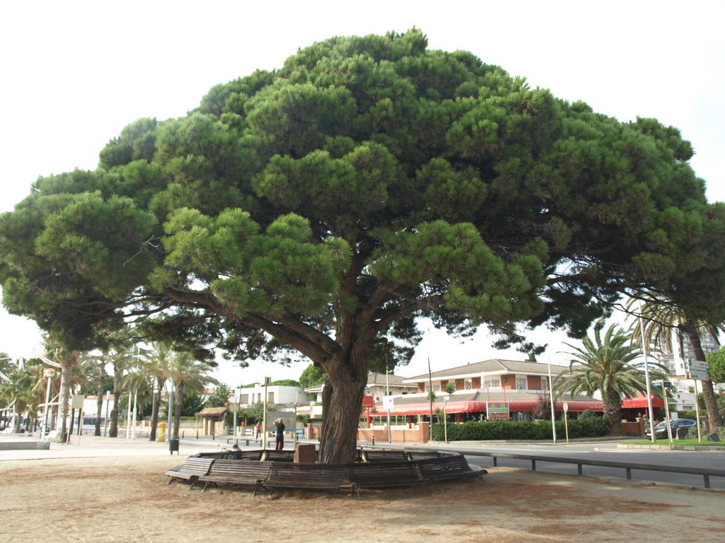Geminis Cambrils